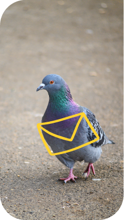 Możesz bez nich, ale przygotuj się na powrót do przeszłości - kolejek, papierów i gołębia pocztowego. 