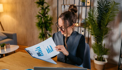 Jak wygląda raport BIK